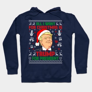 All i Want for Christmas is Trump for President ugly sweater Hoodie